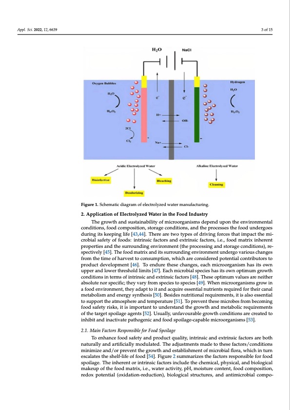 electrolyzed-water-the-food-industry-003