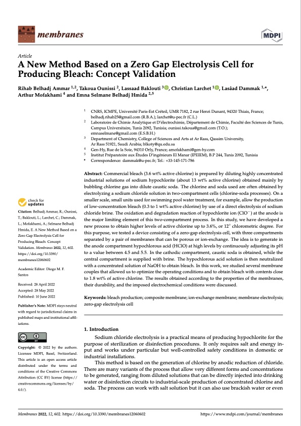 zero-gap-electrolysis-cell-producing-bleach-001