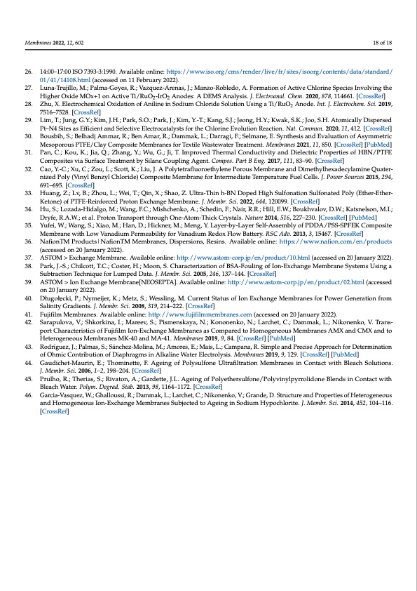 zero-gap-electrolysis-cell-producing-bleach-018